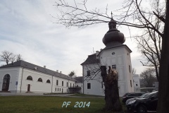 DSCF9825