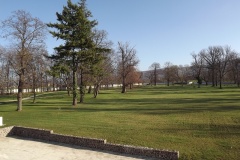 DSCF9842