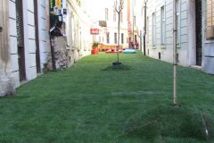 DSCF6976