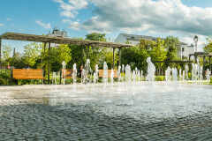 Ruzovy-park_1