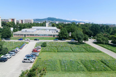 BIO-VCEL-IN-2